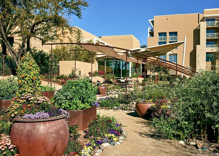 Jw Marriott Desert Ridge & Resort